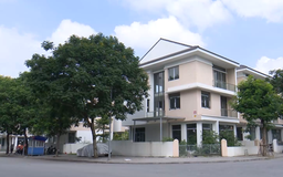 Nhiều biệt thự bỏ hoang ở khu đô thị Dương Nội
