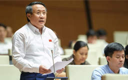 Cơ chế đặc biệt tháo gỡ những điểm nghẽn của pháp luật