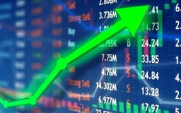 Chứng khoán Việt giữ đà tăng bất chấp biến động quốc tế