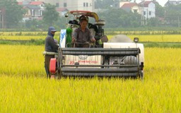 Nông dân Thủ đô chuẩn bị xuống đồng vụ mùa