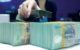 Bức tranh khởi sắc của báo cáo kinh doanh Quý II/2025