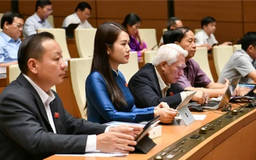 Quốc hội thông qua Luật Thanh tra (sửa đổi)