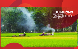 Bâng khuâng nhớ khói