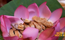 Liên Áp - mỹ vị Tây Hồ