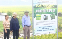 Cánh đồng không khói | Chuyển đổi xanh | 21/06/2025