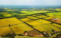 Miễn thuế sử dụng đất nông nghiệp đến năm 2030