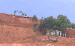 San lấp đất lâm nghiệp trái phép tại xã Yên Bài