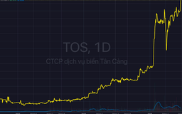 Cổ phiếu TOS vượt đỉnh 14 lần từ đầu năm