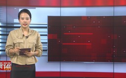 Bản tin 141 | 28/06/2025