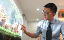 Thú chơi cá cảnh của người Hà Nội | Người Hà Nội | 29/06/2025
