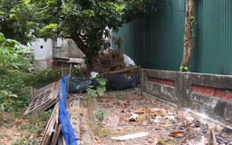 Thực hiện nghiêm túc công điện của Thành phố | Hộp thư truyền hình | 28/06/2025