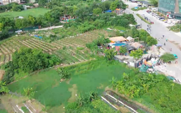 Tái vi phạm trên đất nông nghiệp tại phường Đại Mỗ