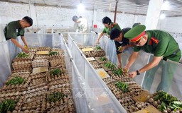 Công tác cai nghiện ma túy dần vào nề nếp