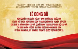 Lễ công bố thành lập, chỉ định nhân sự cơ quan cấp xã