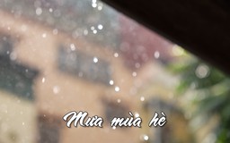 Mưa mùa hè | Nhịp sống Hà Nội | 30/06/2025
