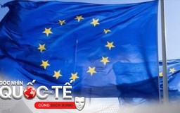 EU mưu tính thành lập Tổ chức Thương mại châu Âu riêng
