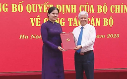 Điều động nhân sự tham gia Đảng ủy MTTQ Việt Nam