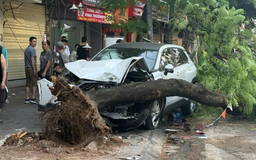 Giám đốc CATP chỉ đạo làm rõ vụ TNGT trên phố Trần Đại Nghĩa