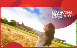 Nếu muốn, không bao giờ là muộn