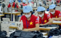 Doanh nghiệp xuất khẩu xoay trục về thị trường nội địa