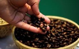 Nguyên nhân cà phê, nước cam ở Mỹ sắp tăng giá