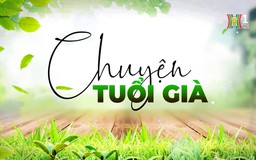 Thái cực quyền - môn thể thao phù hợp với người cao tuổi | Chuyện tuổi già | 13/07/2025