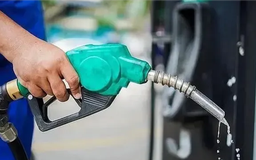 Đề xuất giảm thuế môi trường với xăng dầu đến hết 2026