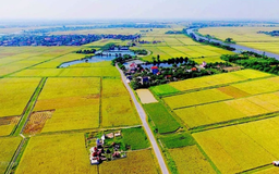Bộ Tài chính đề xuất giảm phí chuyển đổi đất nông nghiệp