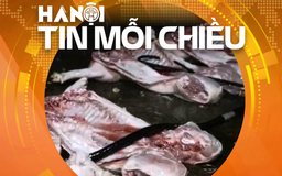 Thịt bẩn và khủng hoảng niềm tin | Hà Nội tin mỗi chiều