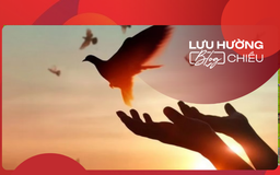 Buông bỏ lý lẽ, giữ lại bình yên