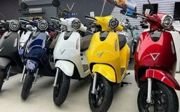 Bức tranh thị trường xe máy điện Việt Nam