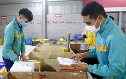 Thu thuế VAT tự động hàng nhập khẩu dưới 1 triệu đồng từ 1/8