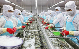 14 loại thu nhập doanh nghiệp, HTX được đề nghị miễn thuế