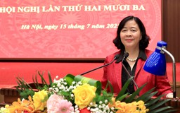 Hoàn thiện các phương hướng, nhiệm vụ cho Đại hội Đảng bộ Thành phố