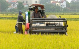 Ứng dụng công nghệ trong sản xuất lúa bền vững | Chuyển đổi xanh | 12/07/2025