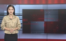 Bản tin 141 | 15/07/2025