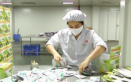 Kiểm tra, giám sát việc kinh doanh nguyên liệu làm thuốc