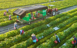 Huy động vai trò hộ nông nghiệp trong kinh tế tuần hoàn