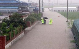 Hàn Quốc họp khẩn tìm biện pháp ứng phó mưa lớn