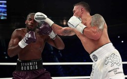 Usyk và Dubois sẵn sàng cho trận tranh 4 đai hạng nặng