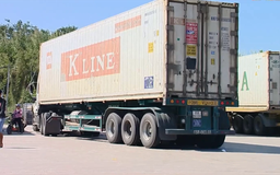 Nguyên liệu sản xuất và nông sản Mỹ tăng tốc vào Việt Nam
