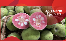 Nhớ mùa ăn chay mà không niệm Phật