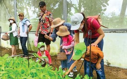 Phát triển kinh tế từ mô hình du lịch nông nghiệp