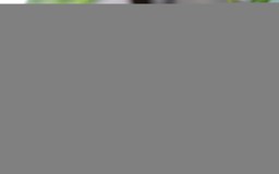 Chợ dân sinh trong phố | Nhịp sống Hà Nội | 02/07/2025