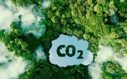 Sàn giao dịch carbon vận hành thử nghiệm cuối năm nay