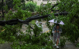 Bão Wipha đổ bộ vào Hong Kong và Ma Cao (Trung Quốc)