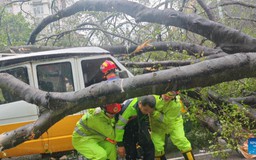 Trung Quốc cảnh báo lũ quét, lở đất do bão Wipha