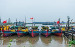 Ninh Bình chủ động phòng, chống bão số 3