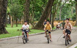 Ngày hè trong Bách Thảo