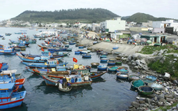 Hướng dẫn tàu thuyền tránh bão